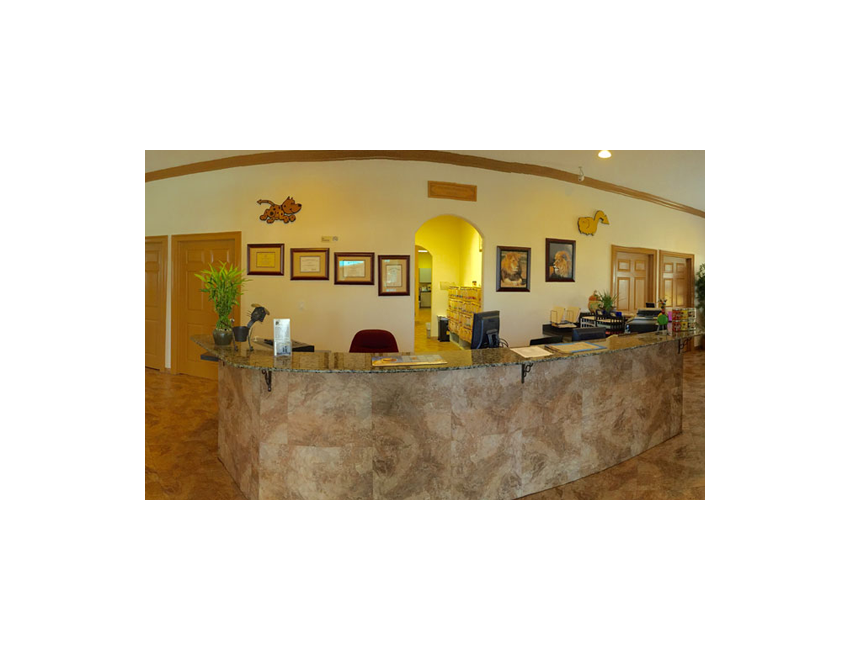 Hospital Tour Vet in Punta Gorda Animal Medical Clinic of Punta Gorda