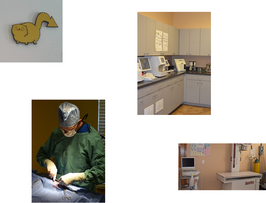 Hospital Tour Vet in Punta Gorda Animal Medical Clinic of Punta Gorda