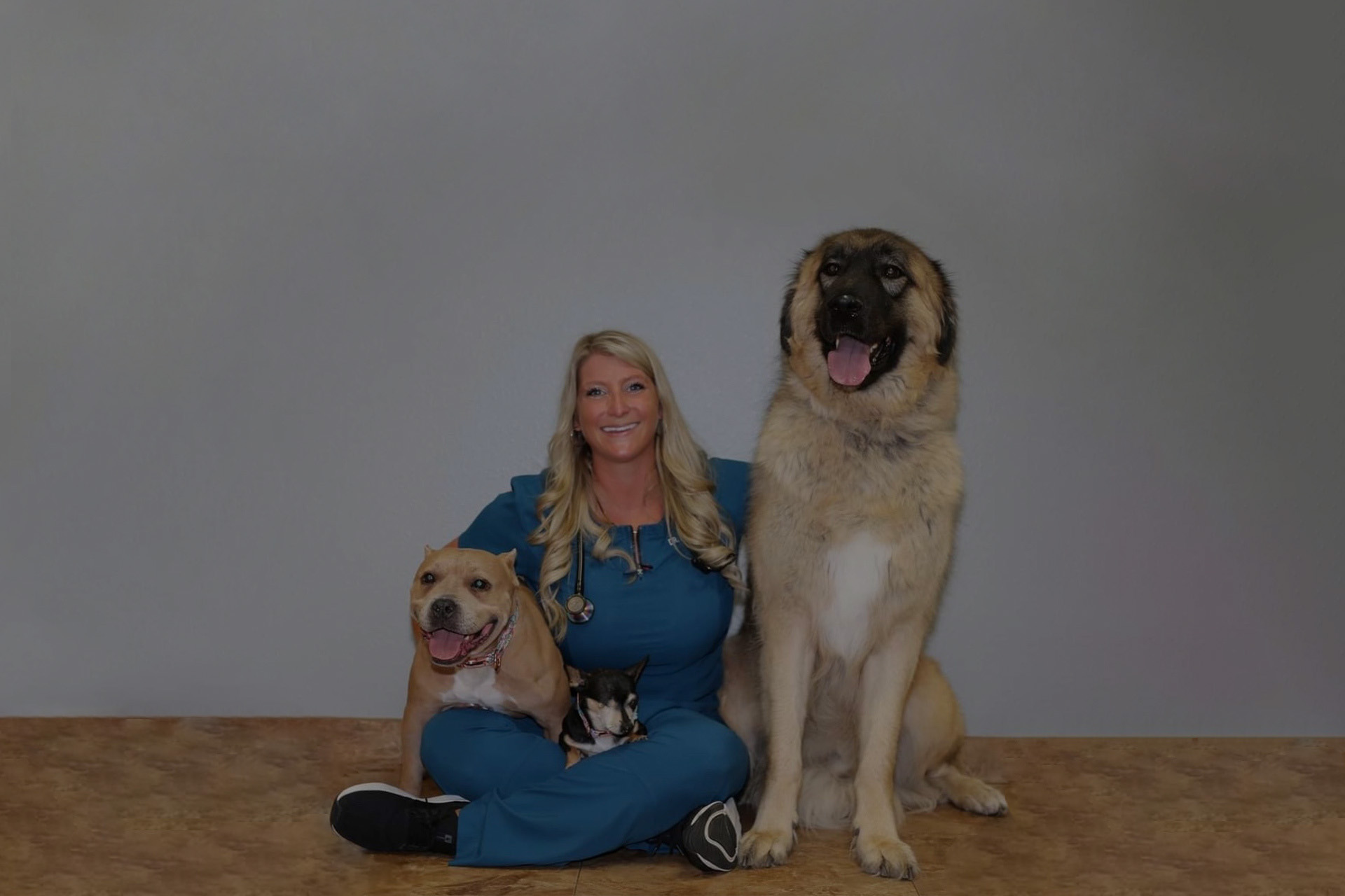 Team Vet in Punta Gorda Animal Medical Clinic of Punta Gorda